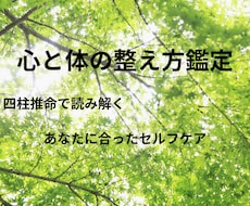 四柱推命で体質と整え方をお伝えします イメージ1