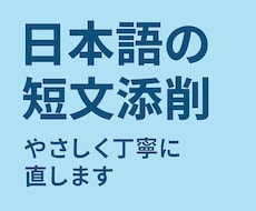 初心者向けの日本語の日記を丁寧に添削します イメージ1