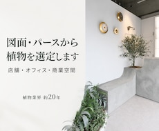 図面・パースから植物を選定します イメージ1