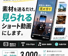 丸投げOK、素材を送るだけ。ショート動画制作します イメージ1