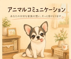 アニマルコミュニケーションをします イメージ1