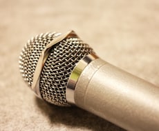 音声の編集・加工いたします ボーカル変換・ピッチ変更等、音声の編集・加工の編集代行