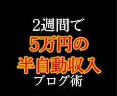 2週間で5万円の半自動収入を得たブログ術教えます イメージ1