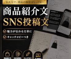 商品紹介文とSNS投稿文を作ります イメージ1
