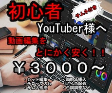 初心者限定！とにかく安く動画編集します イメージ1