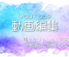 YouTube動画/SNS動画　制作いたします イメージ1