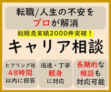 キャリア相談　転職/人生の悩みをプロが解消します イメージ1