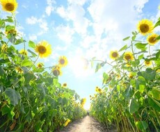 コーチングであなたの悩みを本質から解決できます イメージ1