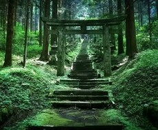 漠然と今に不満・不安があるあなたにアドバイスします もっと楽に幸せに生きられる！！