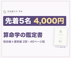 先着5名特価で宿命鑑定書と12年の運勢を作ります イメージ1