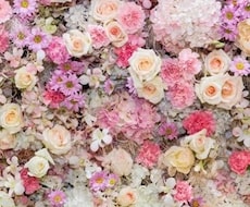 ダイエット、美容、姿勢、パリコレモデルが教えます 現役モデルさん、モデルを目指す方、自分磨きを高めたい方など