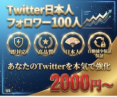 お得【自動減少保証】X日本人フォロワー100人ます イメージ1