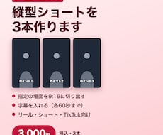 話す動画から縦型ショートを3本作ります イメージ1
