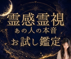 初回お試し｜霊視でお相手の気持ちと次の一手を視ます 24h以内♪約800字♪ 復縁/不倫/遠距離/失恋/片想い