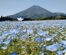 会話を通して自然な日本語を身につけます イメージ1