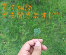 子育ての中での不安、悩みをききます イメージ1
