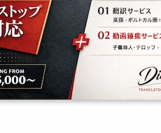 翻訳＋字幕付き動画編集をまとめて承ります イメージ1