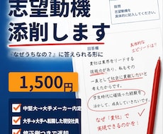 中堅大→大手内定の現役社員が志望動機を添削ます イメージ1
