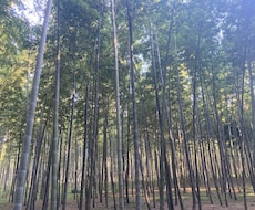 心が弱った時よりそいます イメージ1