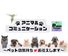 アニマルコミュニケーション　ペット気持ち通訳します イメージ1