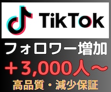 TikTokのフォロワー+3,000人〜増加します TikTokのフォロワー増加｜【30日間減少保証付き】高品質