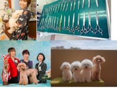 初回の方限定☆事前ビデオチャット相談承ります "道具マニア&雇われの星"伊佐のサービス利用初めての方向け