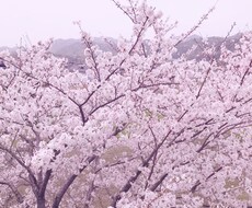 あなたのために短歌を一首詠みます イメージ1