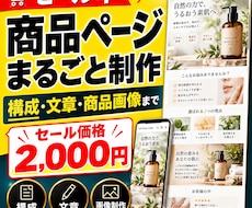 EC商品ページを構成・文章・画像まで作成致します 物販経験を活かして販売目線で商品ページを制作します。