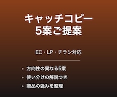 商品・LP・チラシのキャッチコピーを5案考えます イメージ1