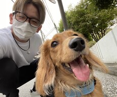 お散歩の引っ張り癖をなおします イメージ1