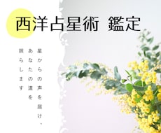 星からの声を届け、あなたの道を照らします イメージ1