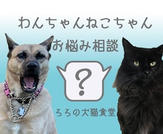 獣医師がわんちゃんねこちゃんの相談を受け付けます イメージ1