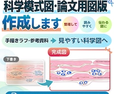 研究図・論文図・サイエンスイラストを作成します イメージ1
