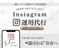 SNS運用代行いたします イメージ1