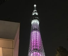 エクセルの作成をイチから教えます 希望のものを作成するためのお手伝いをさせて頂きます