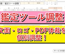 鑑定ツールをカスタム調整します イメージ1