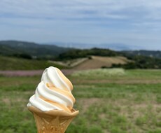 あなたと周りの人の心が安心できることを願います イメージ1
