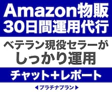 Amazonアカウントまるごと運営代行します イメージ1