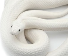 オラクルで悩み解決します イメージ1