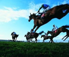 競馬の予想します
