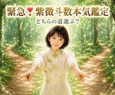 ワンコイン鑑定♥️本気鑑定で選択お手伝いします ✨本質を踏まえて、今迷ってる問題2時間以内にスピード解決✨