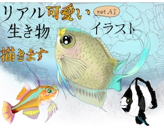 リアルで可愛い生き物イラスト描きます 下書きまで無料⭐︎イメージにご納得いただいてから購入できます