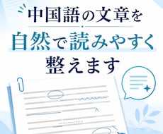 中国語・日本語・英語を自然に翻訳・整えます イメージ1