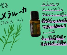 手書き風SNS用のカットを描きます イメージ1