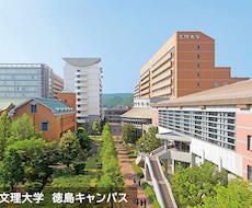 2025年《徳島文理大学・数学》過去問を解説します イメージ1