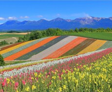 北海道旅行、計画手伝います イメージ1