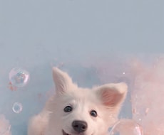 あの子の想い、静かに読み解きます 霊視で感じるペットの本音とあなたへの深い愛