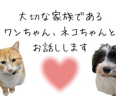 ワンちゃんネコちゃんとお話しします イメージ1