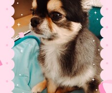 離婚子連れ再婚がんサバイバー主婦がお話聞きます イメージ1
