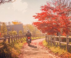 ワクワクするような旅行のご計画をサポートします イメージ1